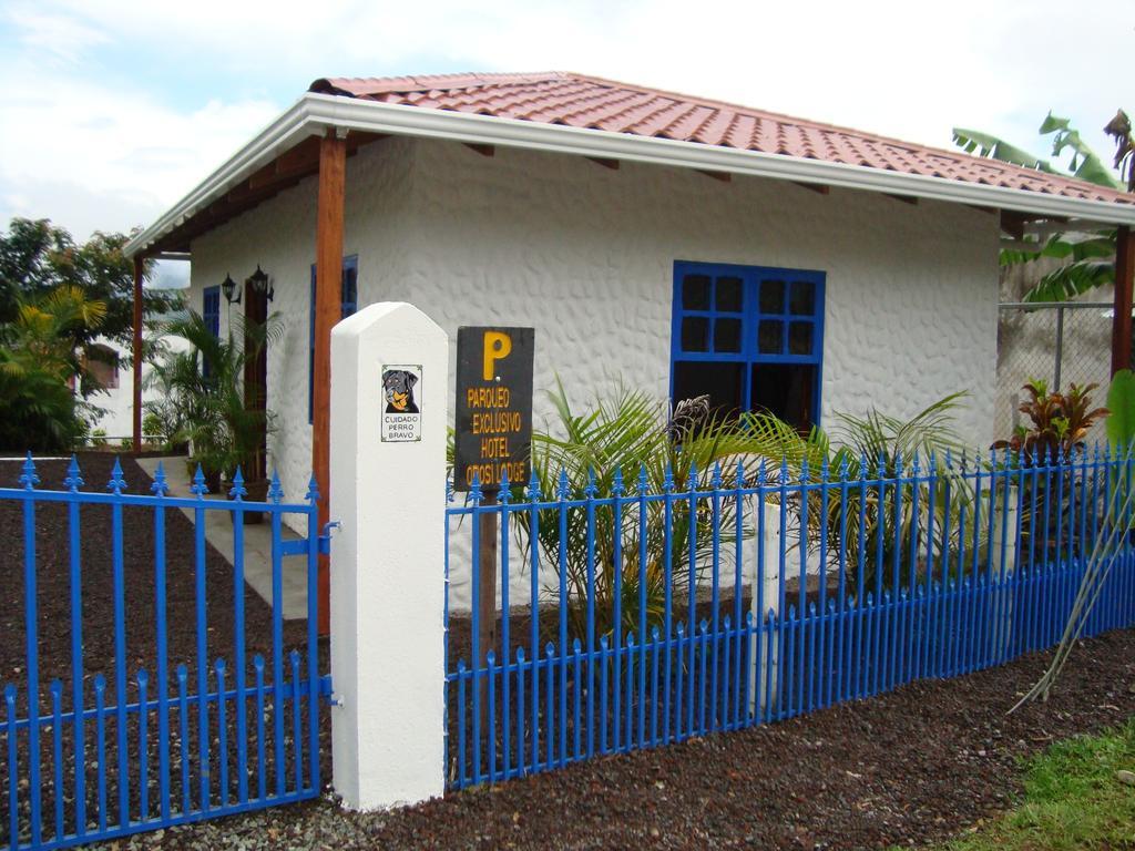 Orosi Lodge Εξωτερικό φωτογραφία